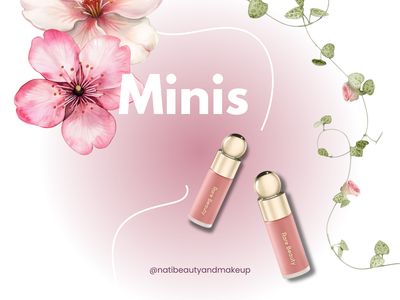 MINIS