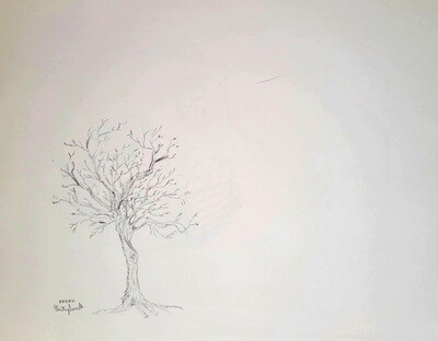 Lady in the Tree Original pencil on paper 9 x 12 inches