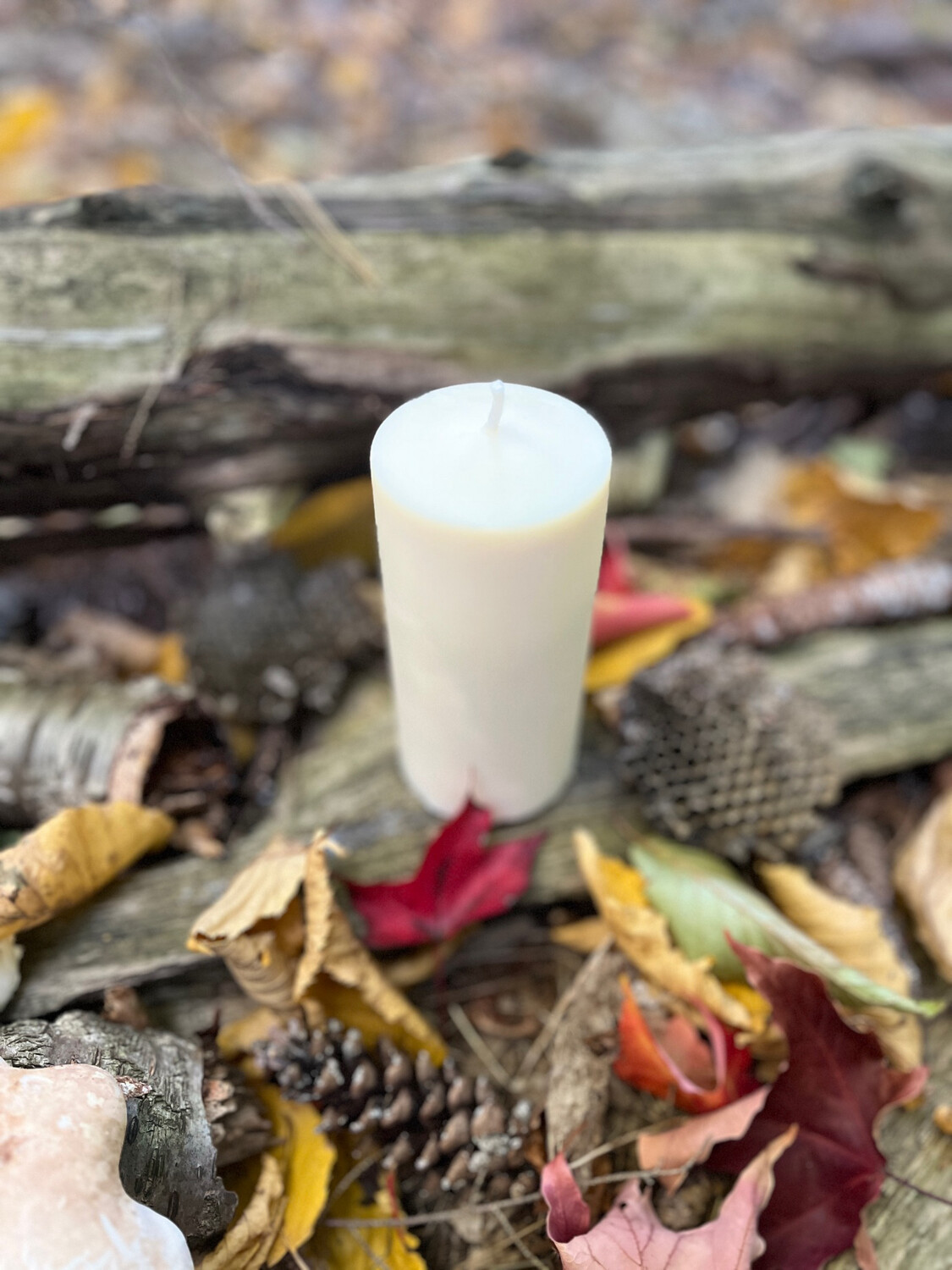 Large Tallow Pillar Candle, 2.5" x 5"