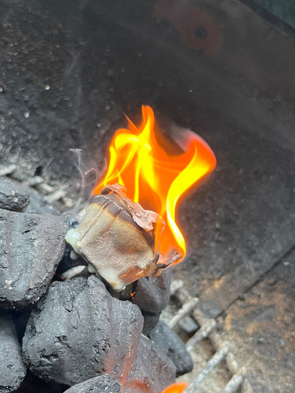 Fire Starters, Singles