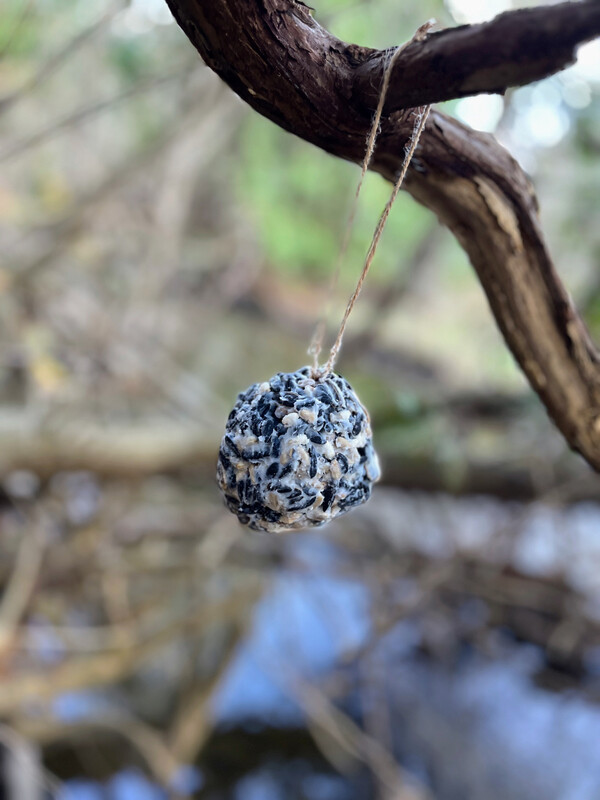 Suet & Seed Bird Balls