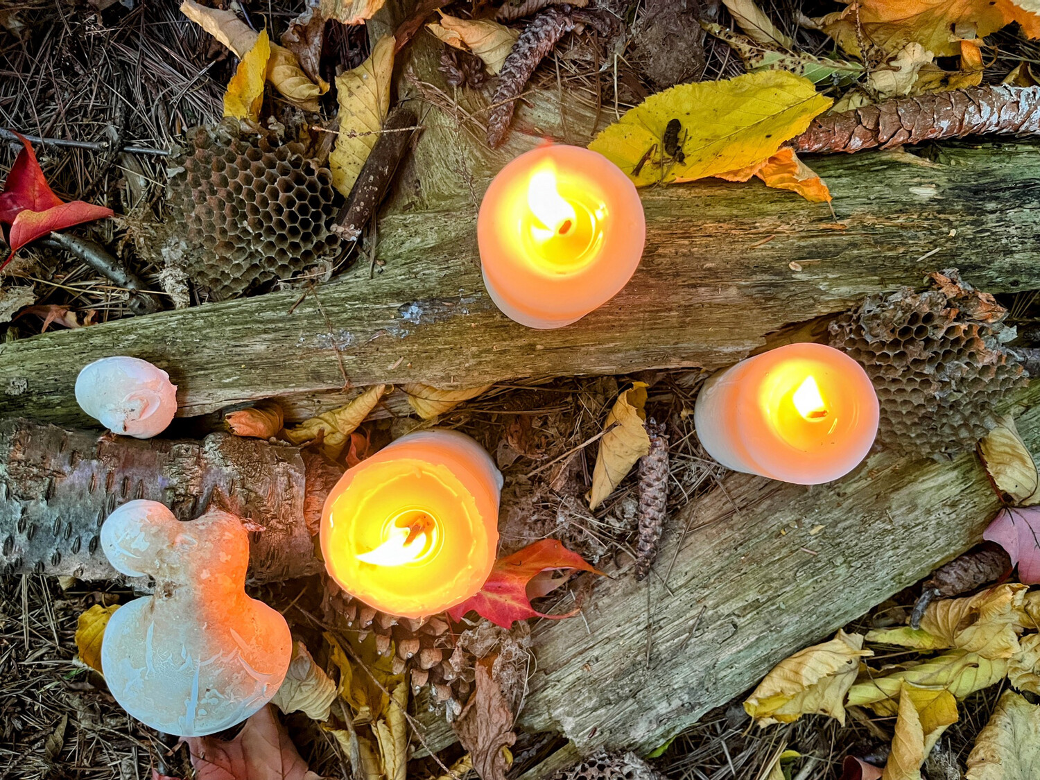 Large Tallow Pillar Candle, 2.5" x 5"