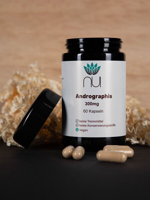 Andrographis – Kalmegh Extrakt (60 Kapseln)