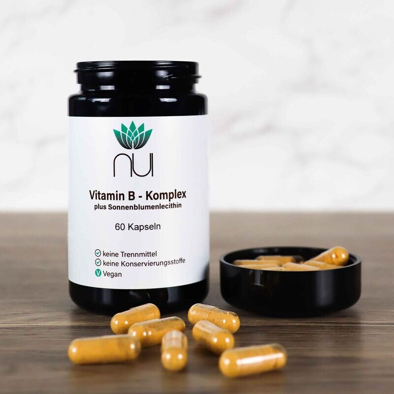 Vitamin B Komplex (B1, B2, B3, B5, B6, B7, B9 und B12)