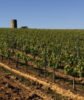 Cotes de Castillon