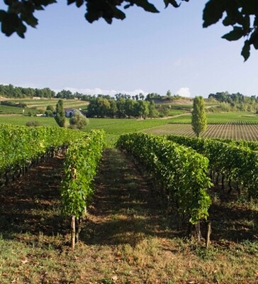 Cotes de Bordeaux