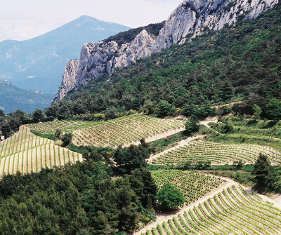 Gigondas