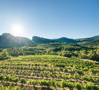 Cotes du Rhone