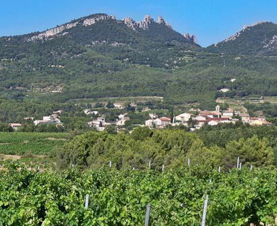Vacqueyras