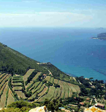 Cotes de Provence