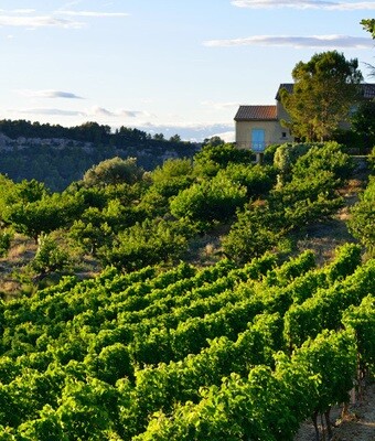 Coteaux d Aix en Provence