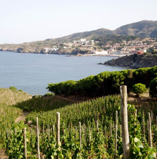 Banyuls