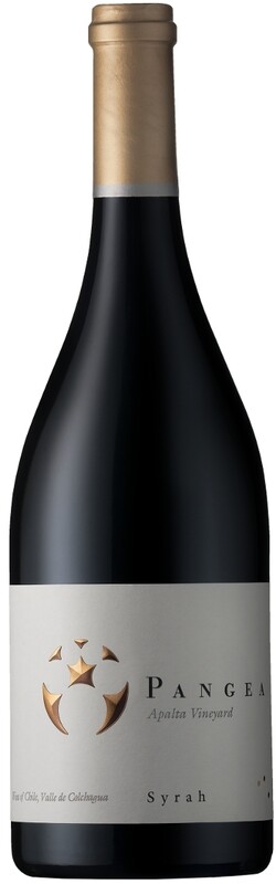 Ventisquero 2016 Pangea Valle de Colchagua Apalta Vineyard Ventisquero 2016 Pangea Valle de Colchagua Apalta Vineyard