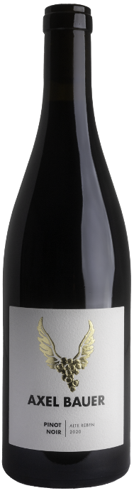 Weingut Axel Bauer 2020 Pinot Noir Alte Reben trocken Meisterstück