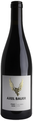 Weingut Axel Bauer 2020 Pinot Noir Alte Reben trocken Meisterstück