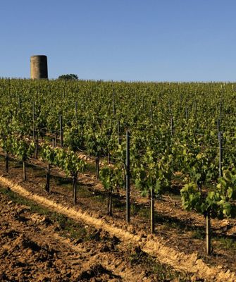 Cotes de Castillon Primeur 2023