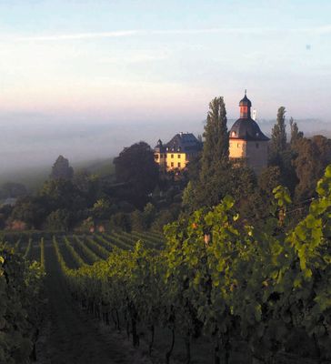 Rheingau