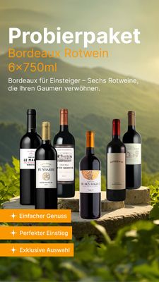 Probierpaket Bordeaux rot Einsteiger 6 x 750ml Flaschen Rotwein
