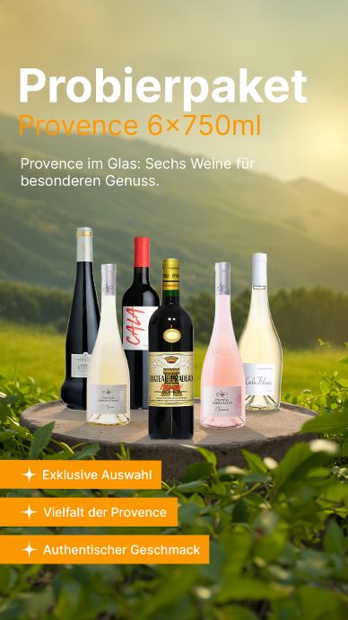 Probierpaket Einblick Provence 6 x 750ml Flaschen gemischte Kiste Probierpaket Einblick Provence 6 x 750ml Flaschen gemischte Kiste