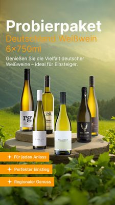 Probierpaket Deutschland weiß Einsteiger 6 x 750ml Flaschen Weißwein