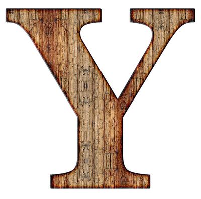 Y