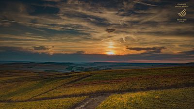 Montagne de Reims