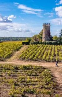 IGP Val de Loire