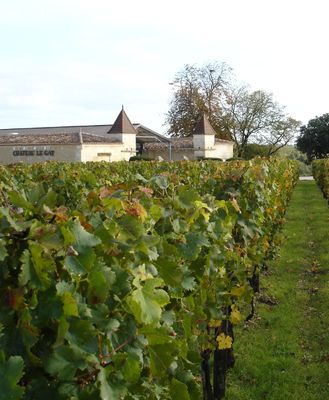 Pomerol Primeur 2025