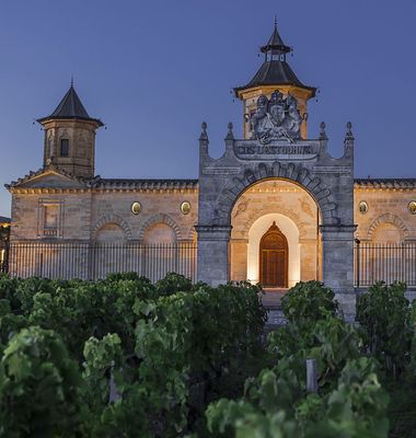 Saint-Estephe Primeur 2025