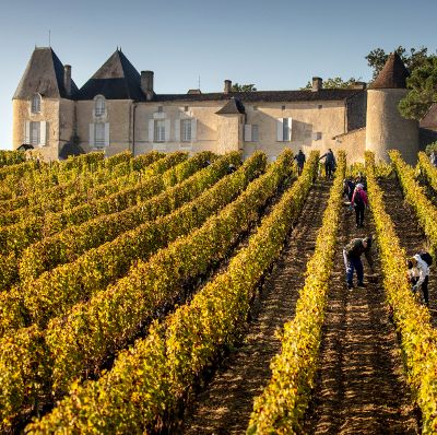 Sauternes Primeur 2025