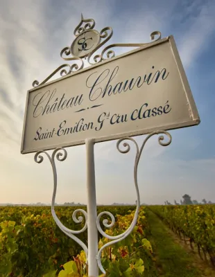 Chateau Chauvin Saint Emilion Weinberg