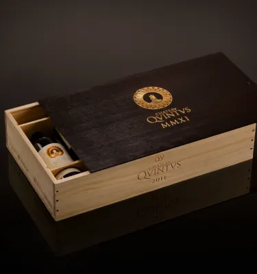 Chateau Quintus Winzer-Seite