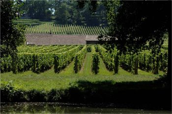 Chateau Clos de L' Oratoire Winzerseite