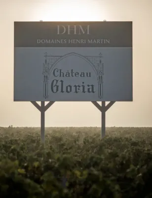 Chateau Gloria Weinberg