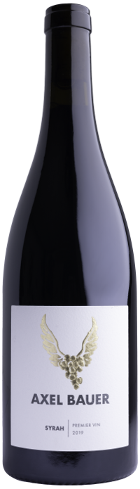 Weingut Axel Bauer 2019 Syrah Premier Vin trocken