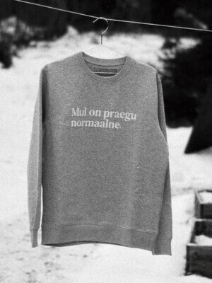 Mul on praegu normaalne