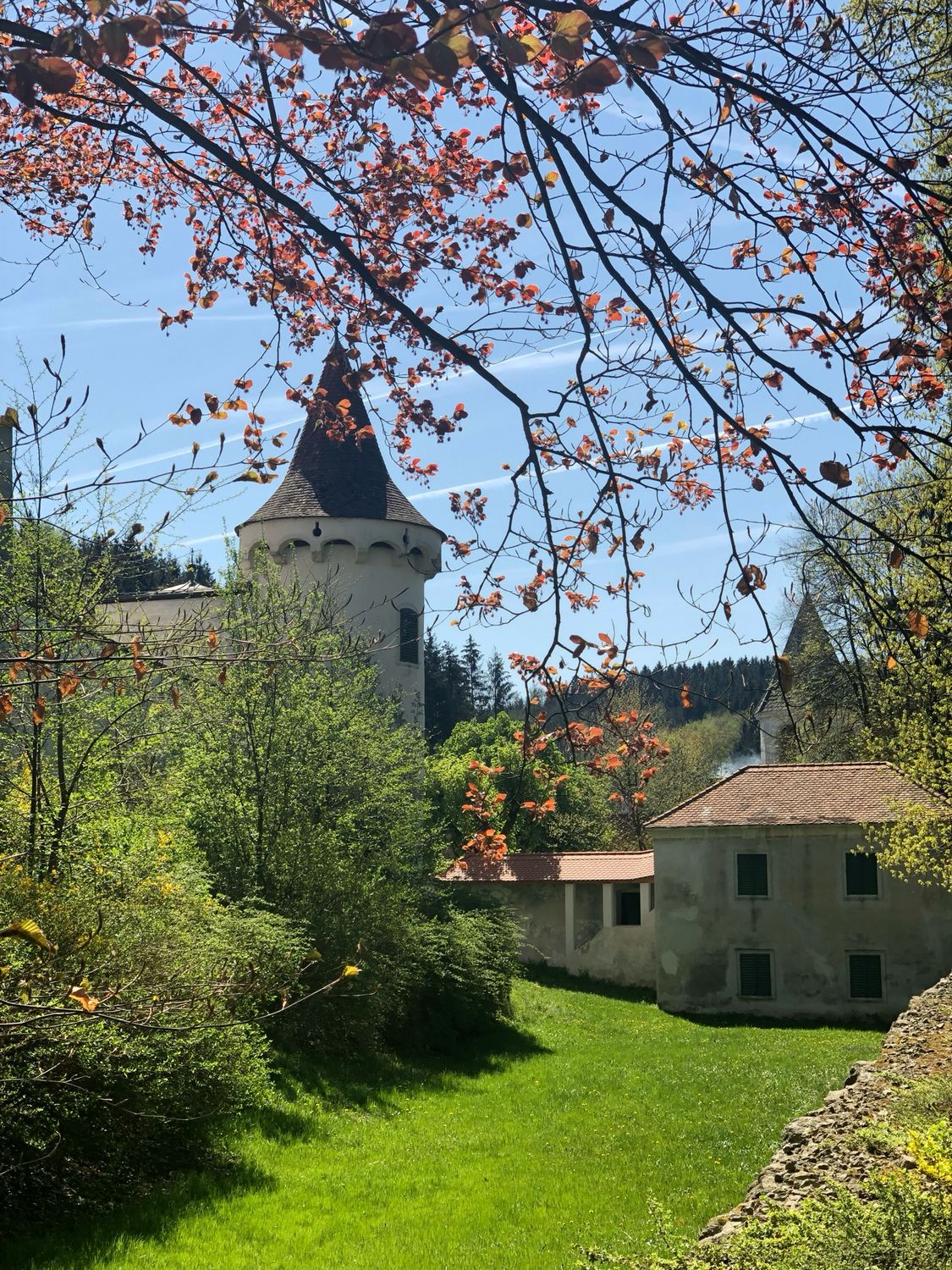 Saison Pass 2026 Saison Pass 2026