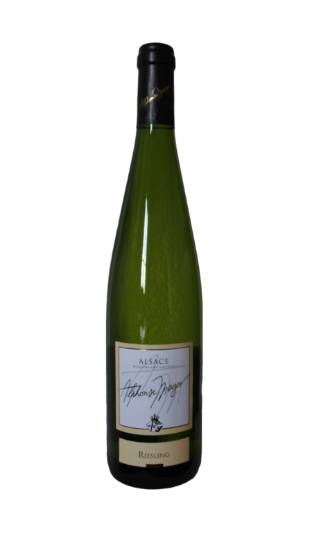 Riesling Tradition 2019