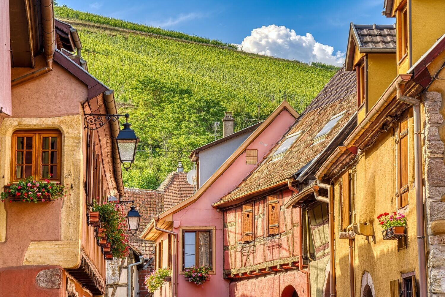 Alsace