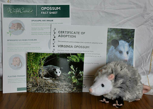 Adopt an Animal: Virginia Opossum ($25 without stuffed animal)
