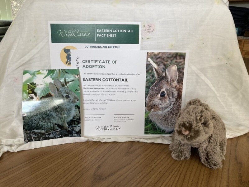 Adopt an Animal: Cottontail Rabbit ($25 without stuffed animal)