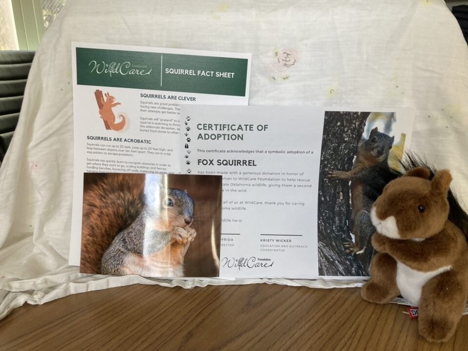 Adopt an Animal: Fox Squirrel ($25 without stuffed animal)
