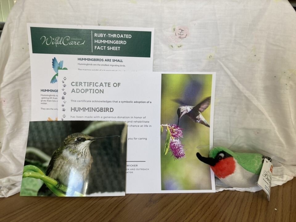 Adopt an Animal: Ruby-throated Hummingbird ($25 without stuffed animal)