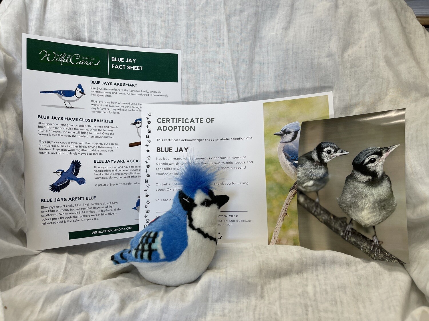 Adopt an Animal: Blue Jay ($25 without stuffed animal)