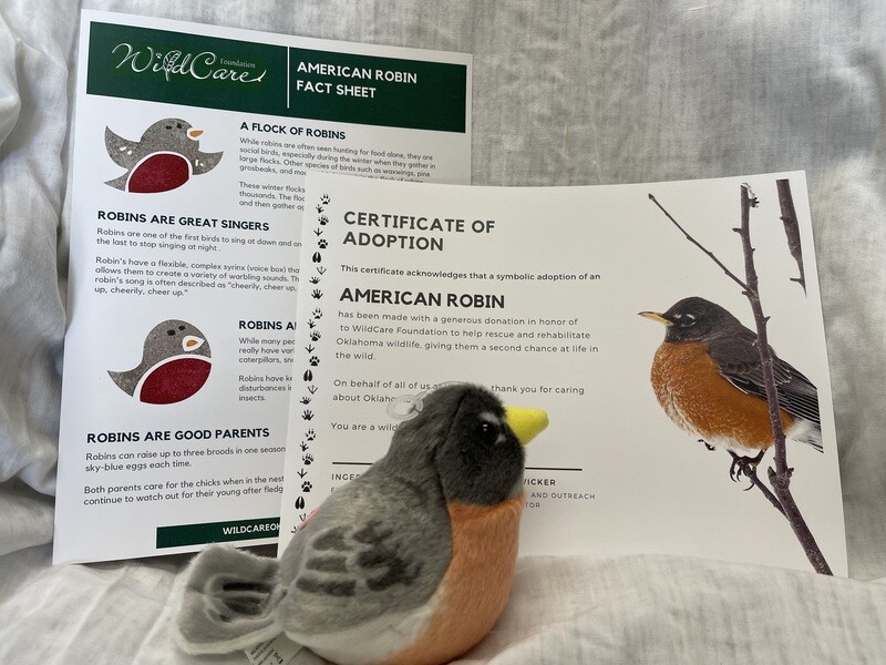 Adopt an Animal: American Robin ($25 without stuffed animal)