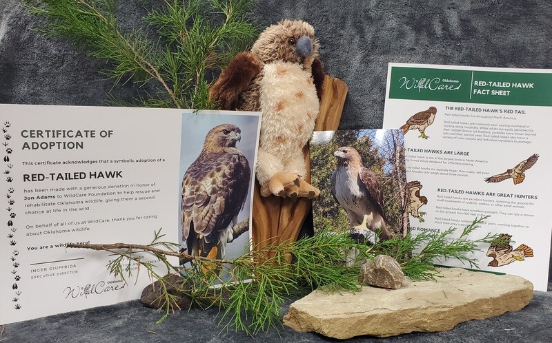 Adopt an Animal: Red Tailed Hawk ($25 without stuffed animal)
