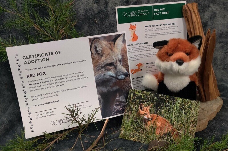 Adopt an Animal: Red Fox ($25 without stuffed animal)