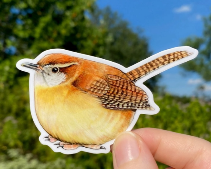 Sticker:  Carolina Wren