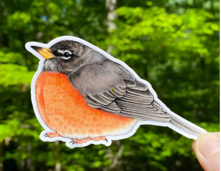 Sticker:  Robin