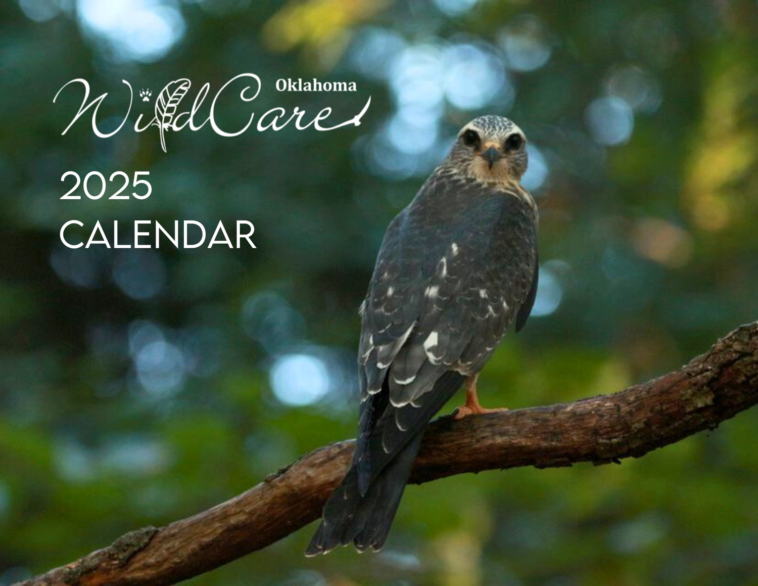 Calendar: WildCare 2025